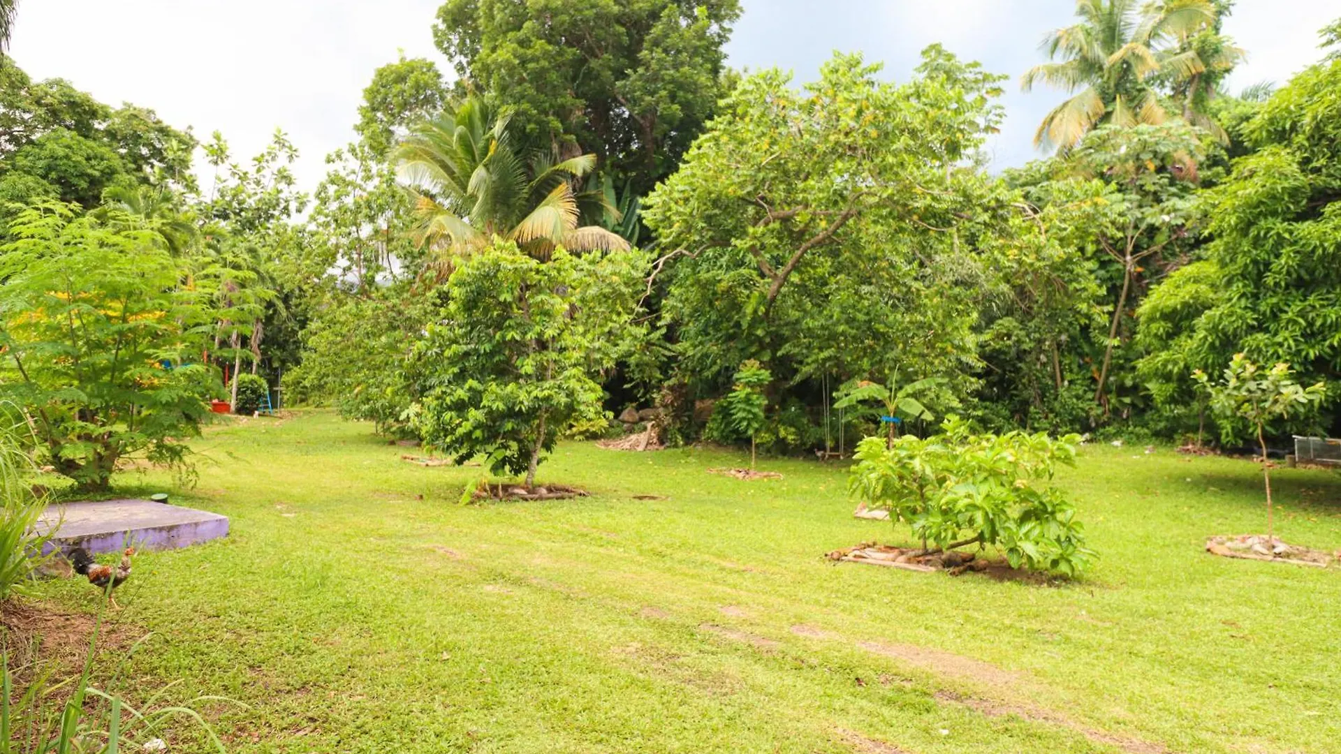 La Casa De Vida Natural Rio Grande Puerto Rico