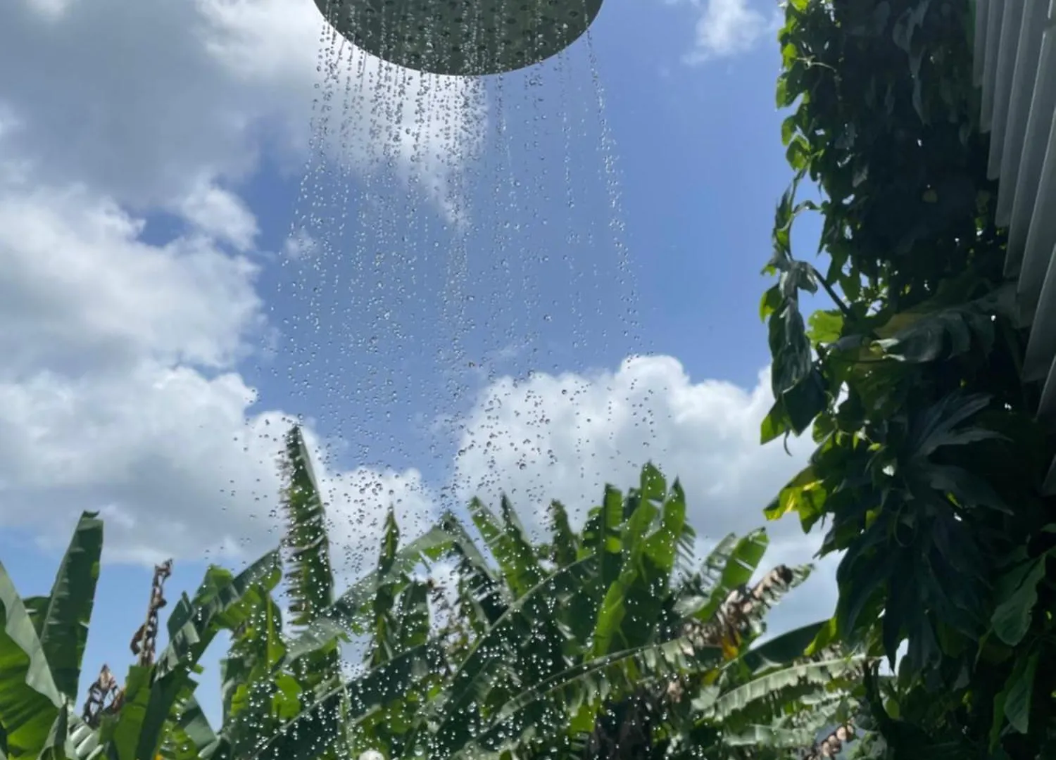 La Casa De Vida Natural Río Grande